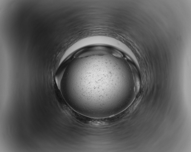 X0000087670512200705111200