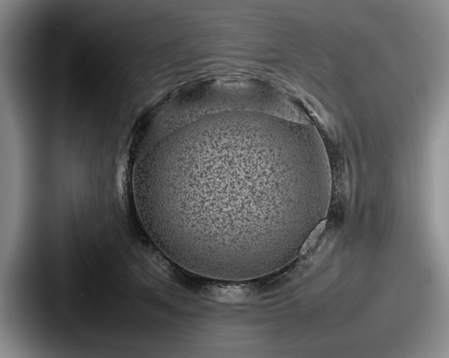 X0000087670513200705111200