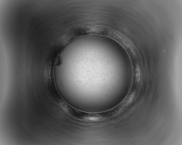 X0000087670514200705111200