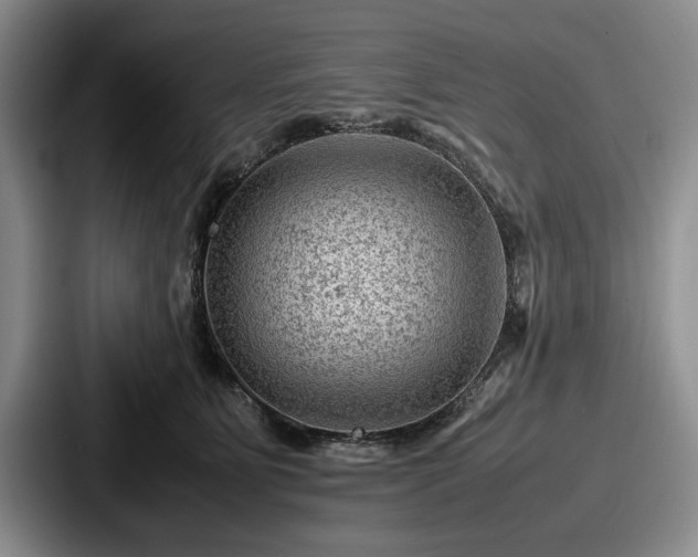 X0000087670515200705111200