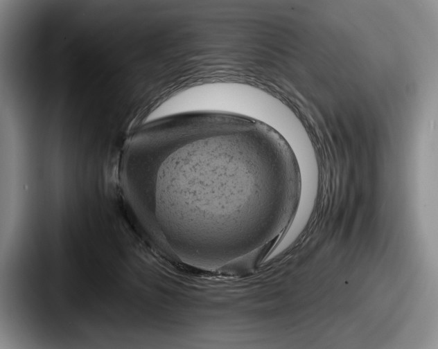 X0000087670516200705111200