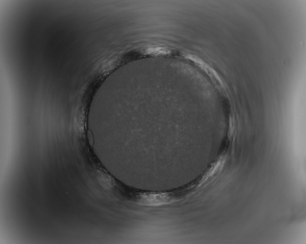 X0000087670517200705111200