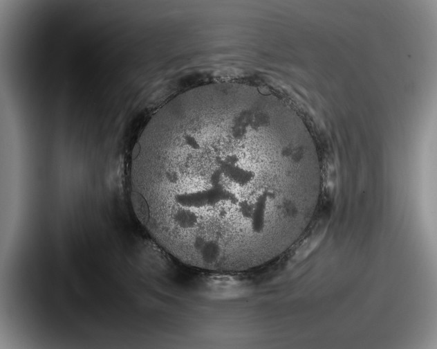 X0000087670519200705111200