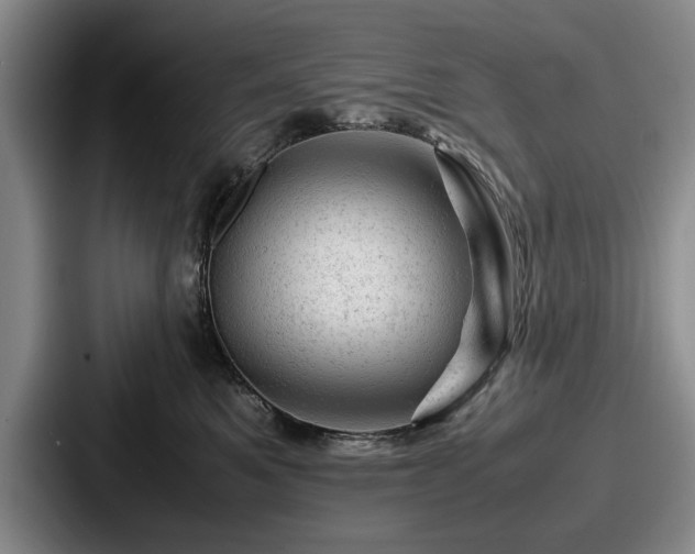 X0000087670521200705111200