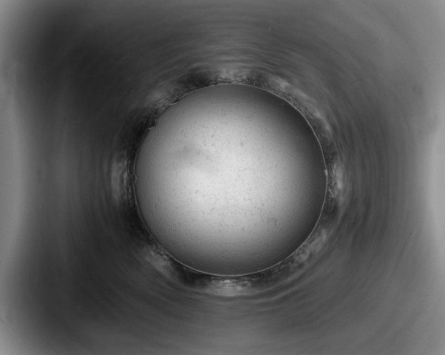 X0000087670522200705111200