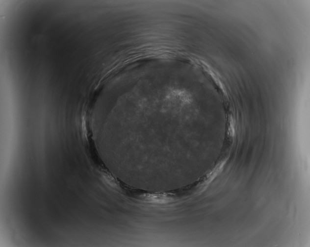 X0000087670524200705111200