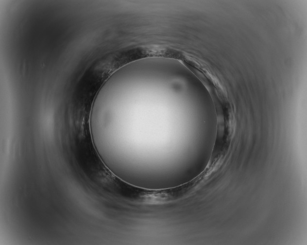 X0000087670525200705111200