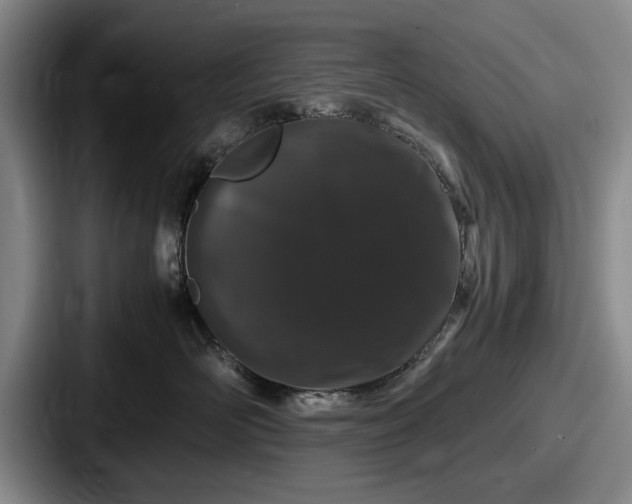 X0000087670526200705111200