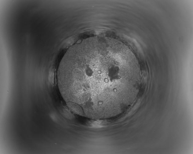 X0000087670527200705111200