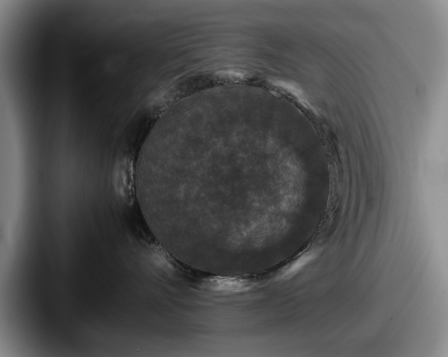 X0000087670528200705111200