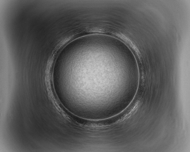 X0000087670529200705111159