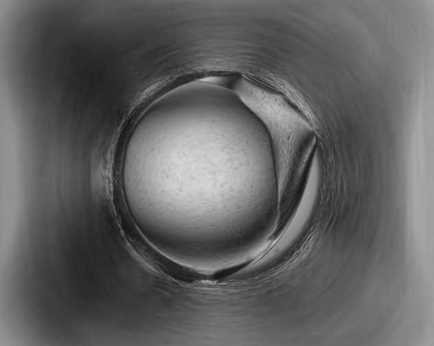 X0000087670530200705111159