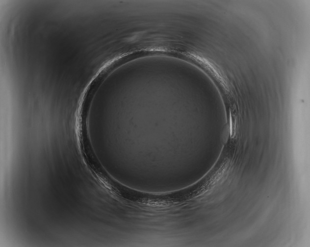 X0000087670531200705111159