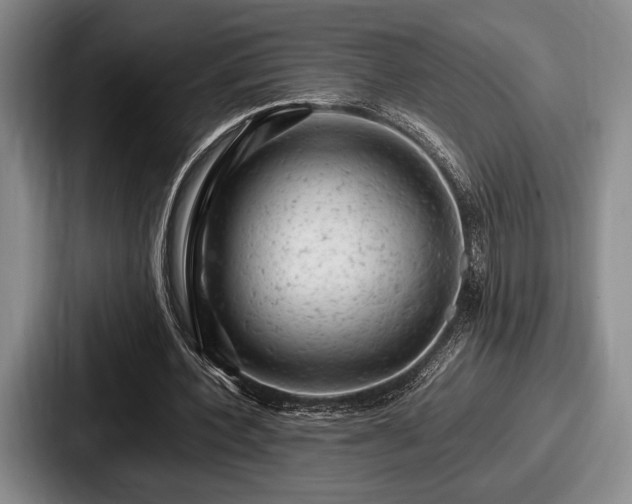 X0000087670532200705111159