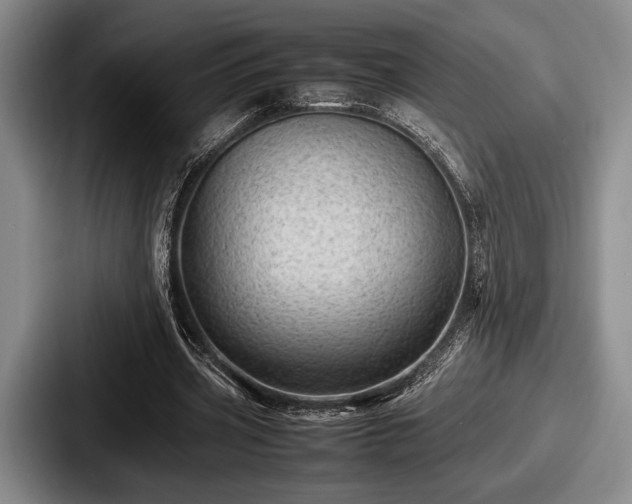 X0000087670533200705111159