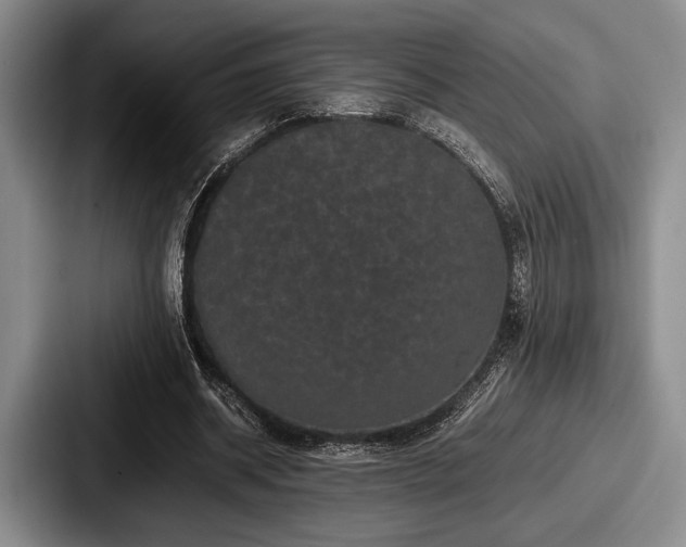 X0000087670534200705111159