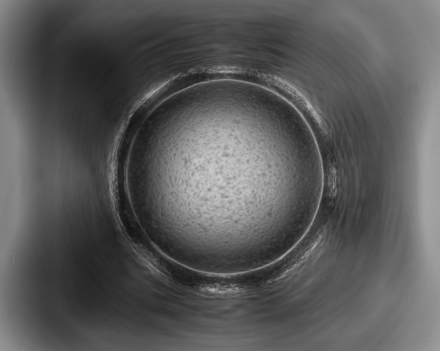 X0000087670535200705111159