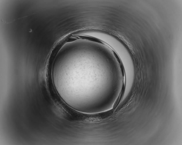 X0000087670536200705111159