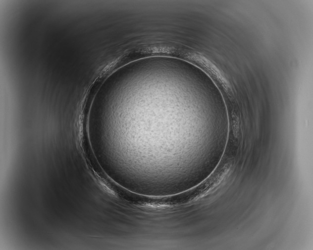 X0000087670537200705111159