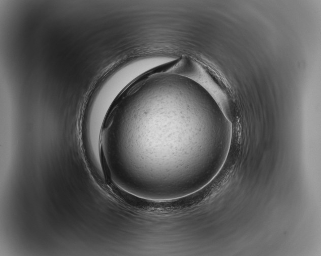 X0000087670538200705111159