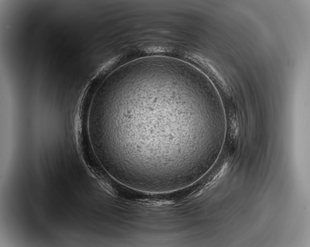 X0000087670539200705111159