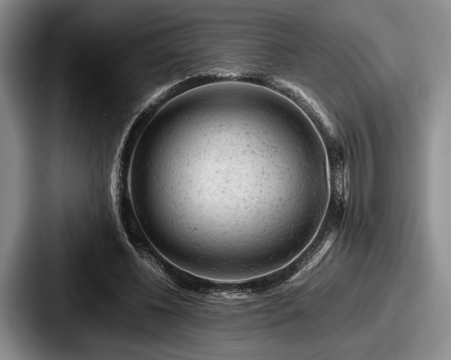 X0000087670540200705111159