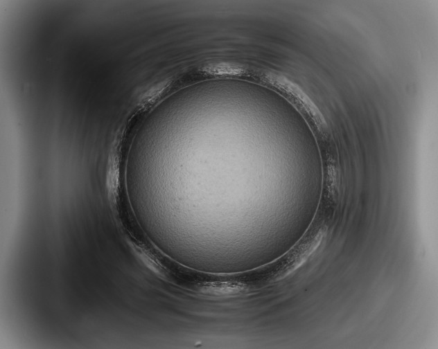 X0000087670541200705111159