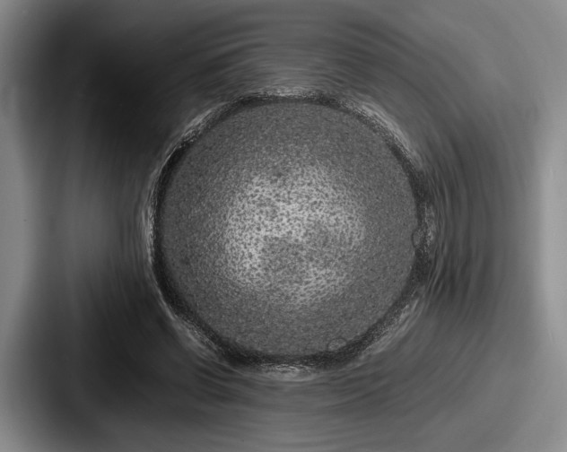 X0000087670542200705111159