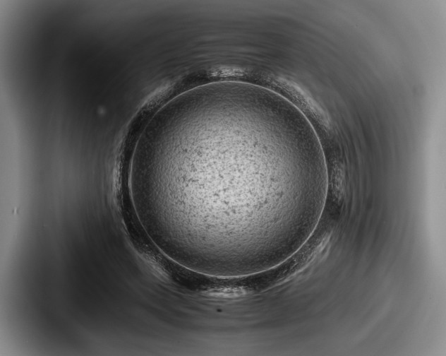 X0000087670543200705111159