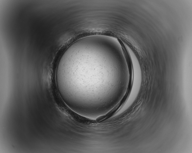 X0000087670544200705111159