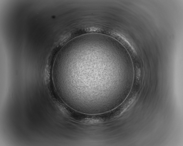 X0000087670545200705111159