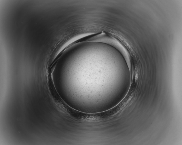 X0000087670546200705111159