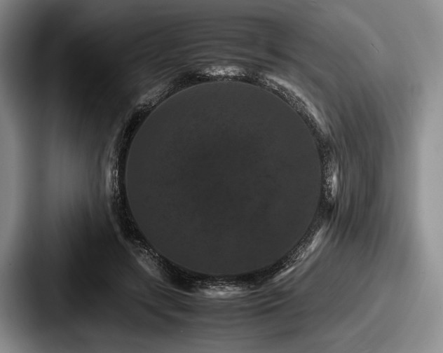 X0000087670547200705111159