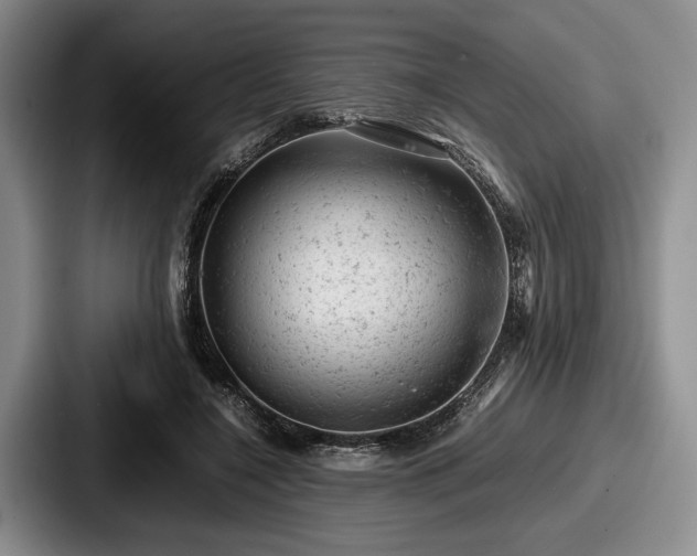 X0000087670548200705111159