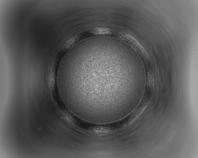 X0000087670549200705111159