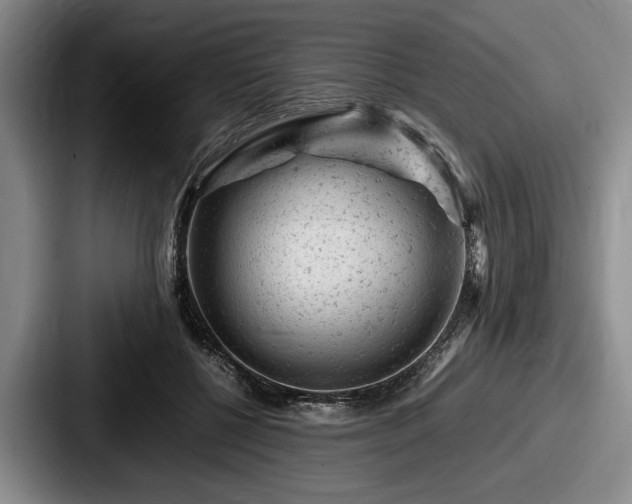 X0000087670552200705111159