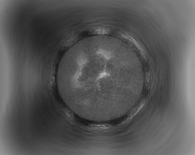 X0000087670553200705111159