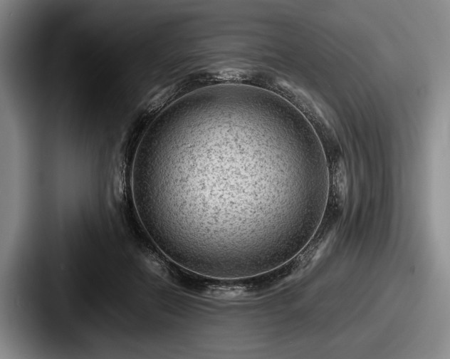 X0000087670554200705111159