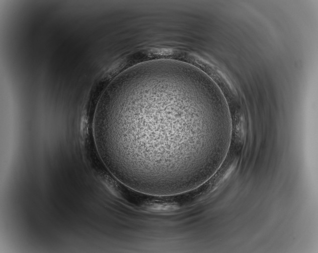 X0000087670555200705111159