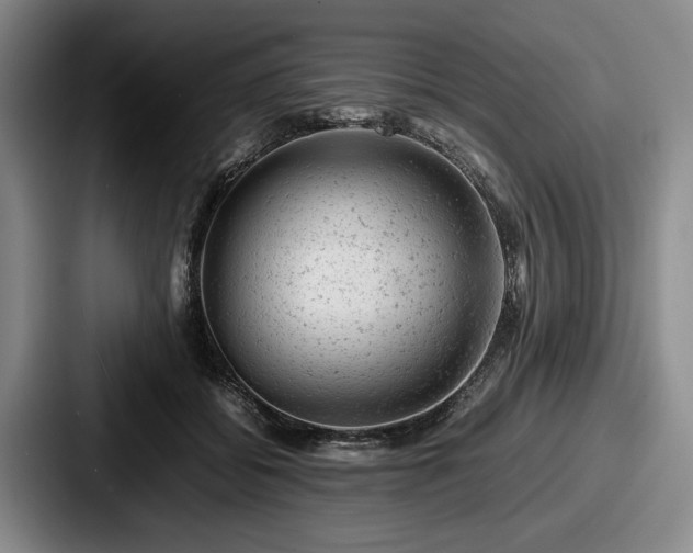 X0000087670556200705111200