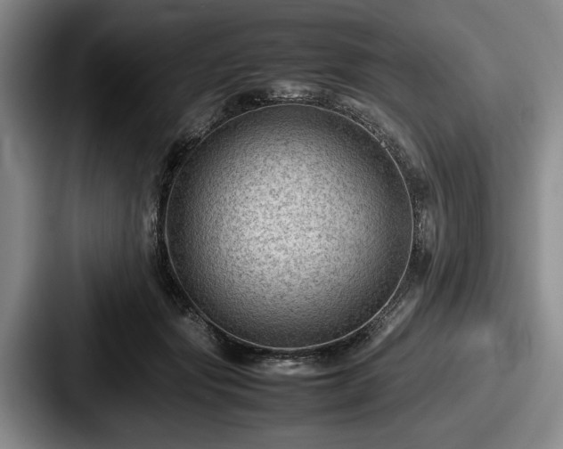 X0000087670557200705111200