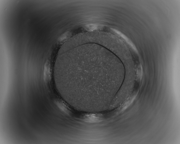 X0000087670558200705111200