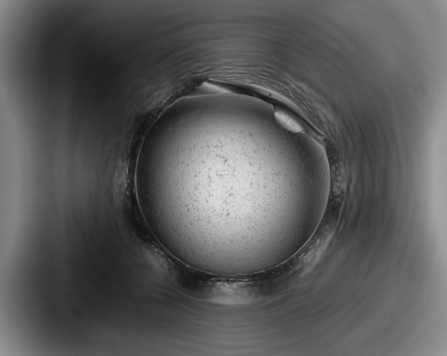 X0000087670560200705111200