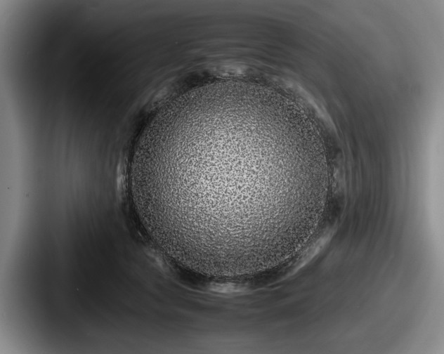 X0000087670561200705111200