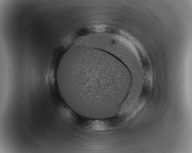 X0000087670562200705111200