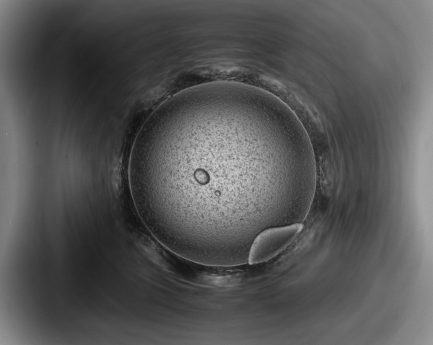 X0000087670563200705111200