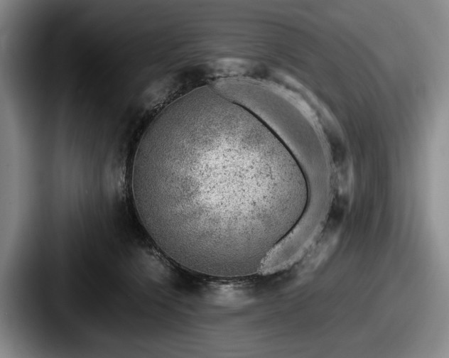 X0000087670564200705111200