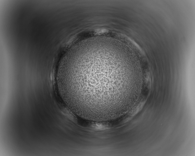 X0000087670565200705111200