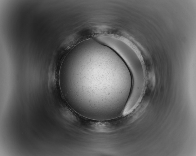 X0000087670566200705111200