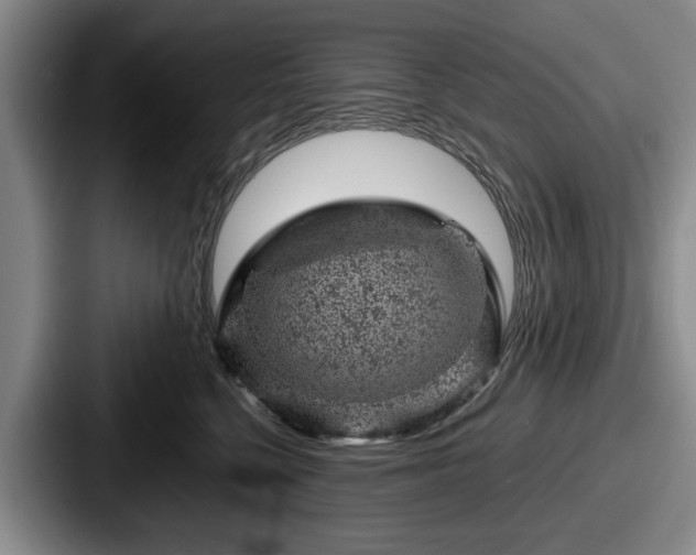 X0000087670568200705111200